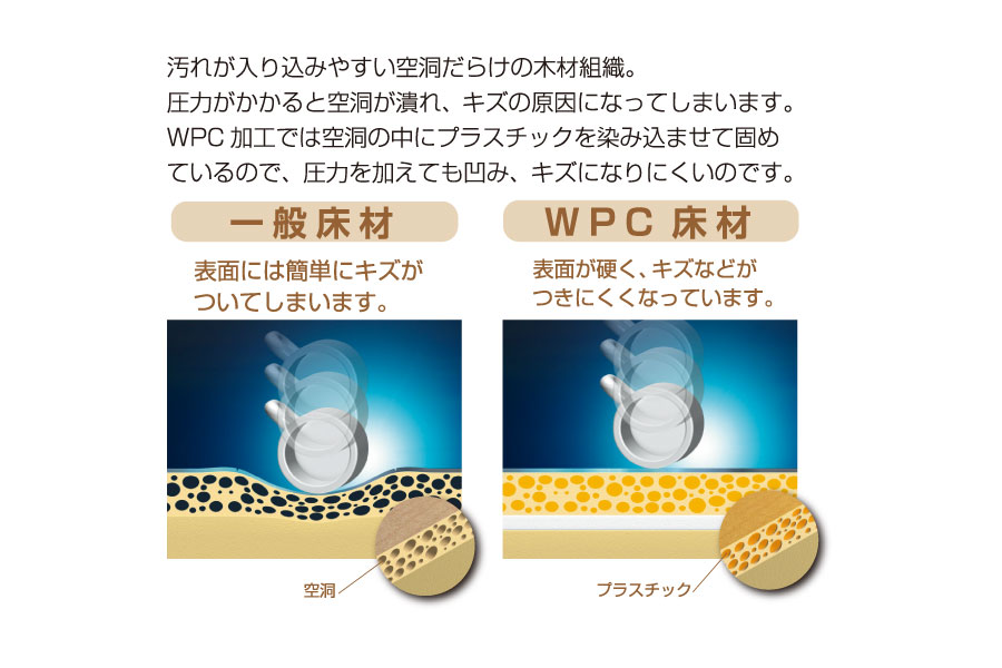 サンプル画像